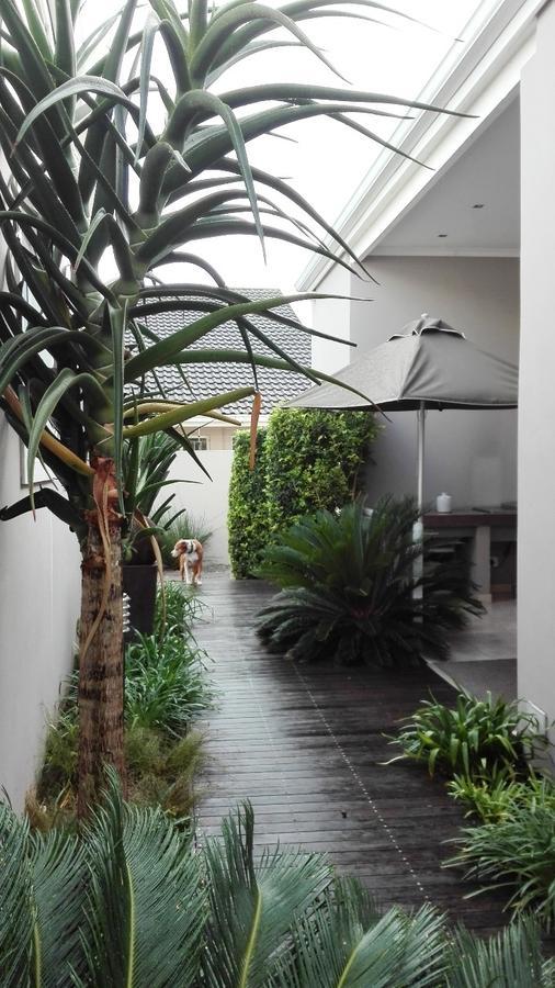 โควี ริเวอร์ เกสท์เฮาส์ Hotel พอร์ตอัลเฟรด ภายนอก รูปภาพ